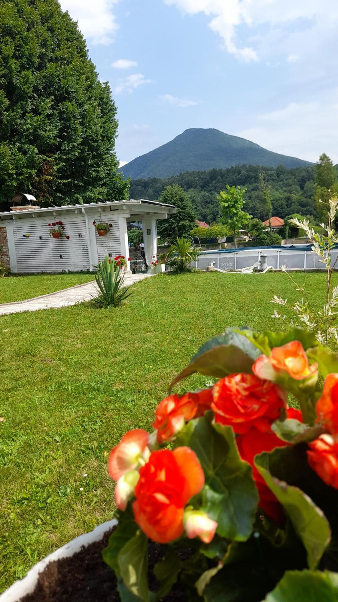 Una Luxury Home Bihać Dış mekan fotoğraf